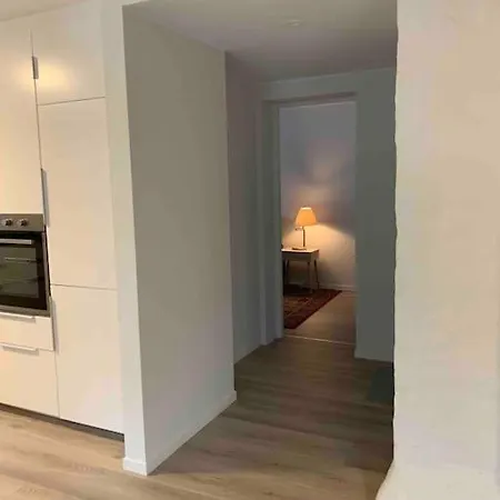 Moderne Og Fullt Utstyrt 3-rom Hageleilighet Sentrum Naer