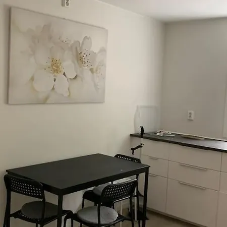 Moderne Og Fullt Utstyrt 3-rom Hageleilighet Sentrum Naer * Bergen