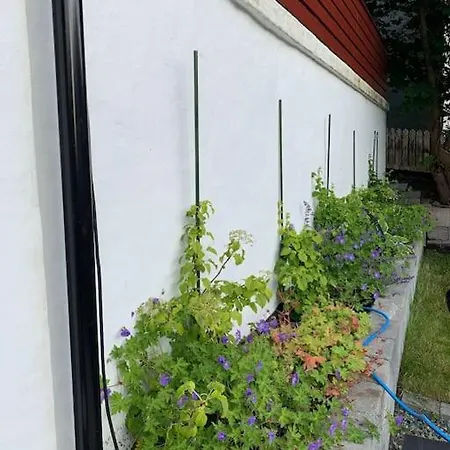 Moderne Og Fullt Utstyrt 3-rom Hageleilighet Sentrum Naer Bergen